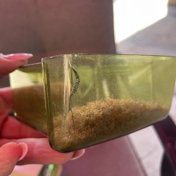 Vintage PANASONIC Green Electric Pencil Sharpener Point-O-Matic KP-8A EUC - Picture 8 of 10